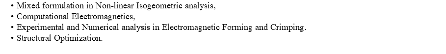 Mixed formulation in Non-linear Isogeometric analysis,
Computational Electromagnetics,
Experimental and Numerical analysis in Electromagnetic Forming and Crimping.
Structural Optimization.
