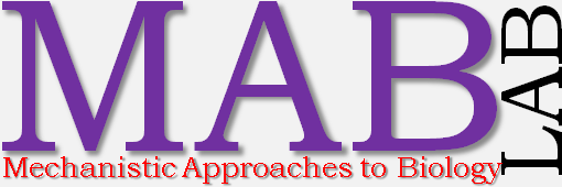 Mechanistic Approaches to Biology Lab
