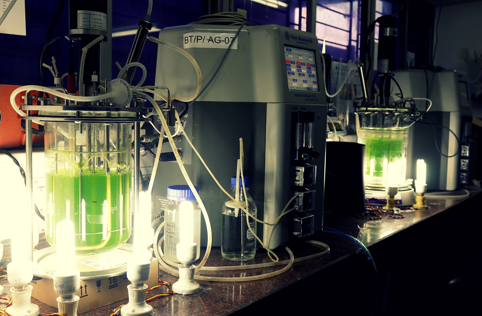Lab 3