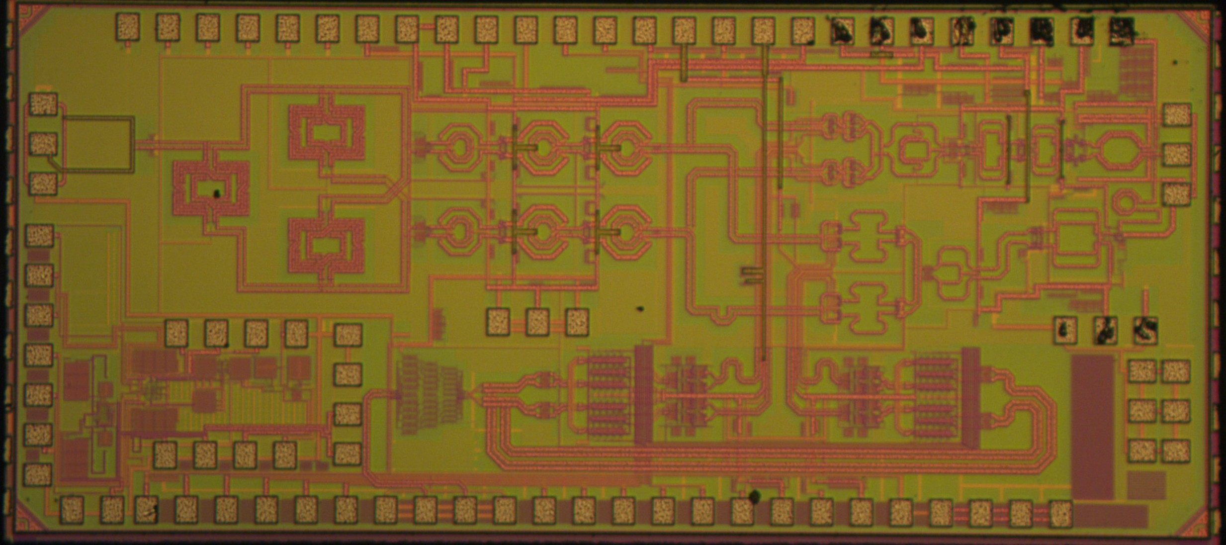 Chip 5