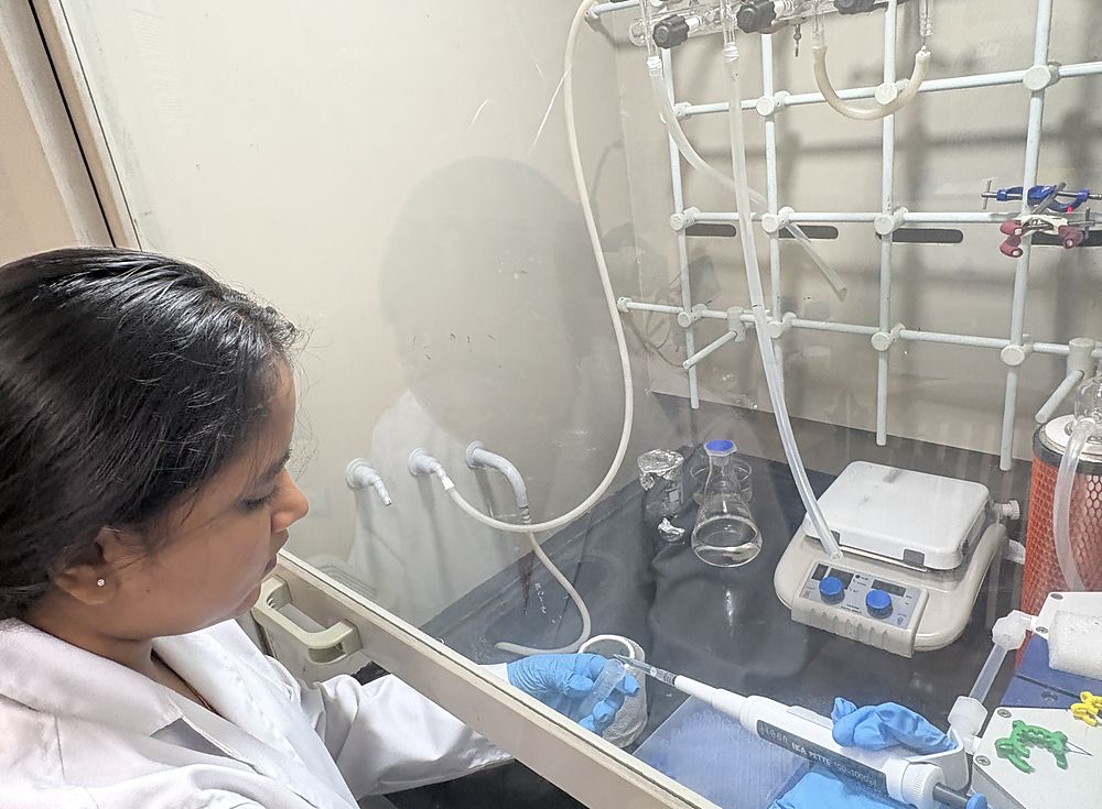 A researcher pipetting inside a fume hood fitted with a glassware manifold, a stirrer hotplate and conical flasks.