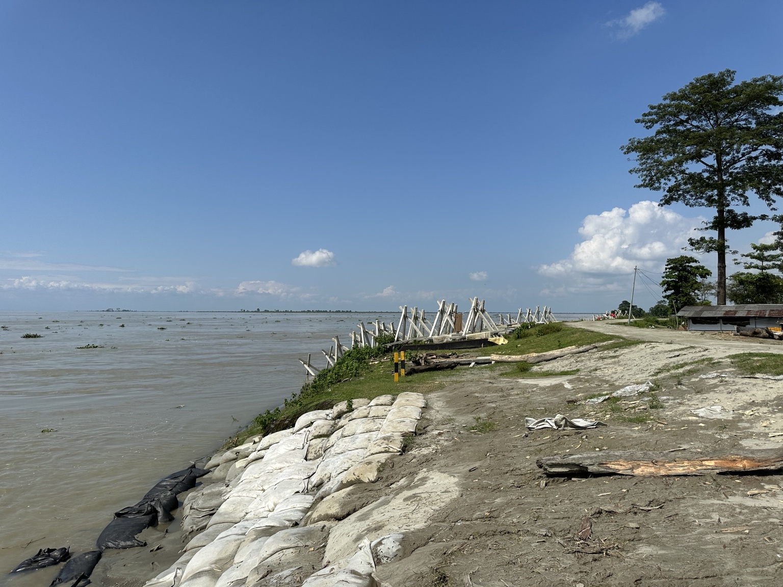 Riverbank study