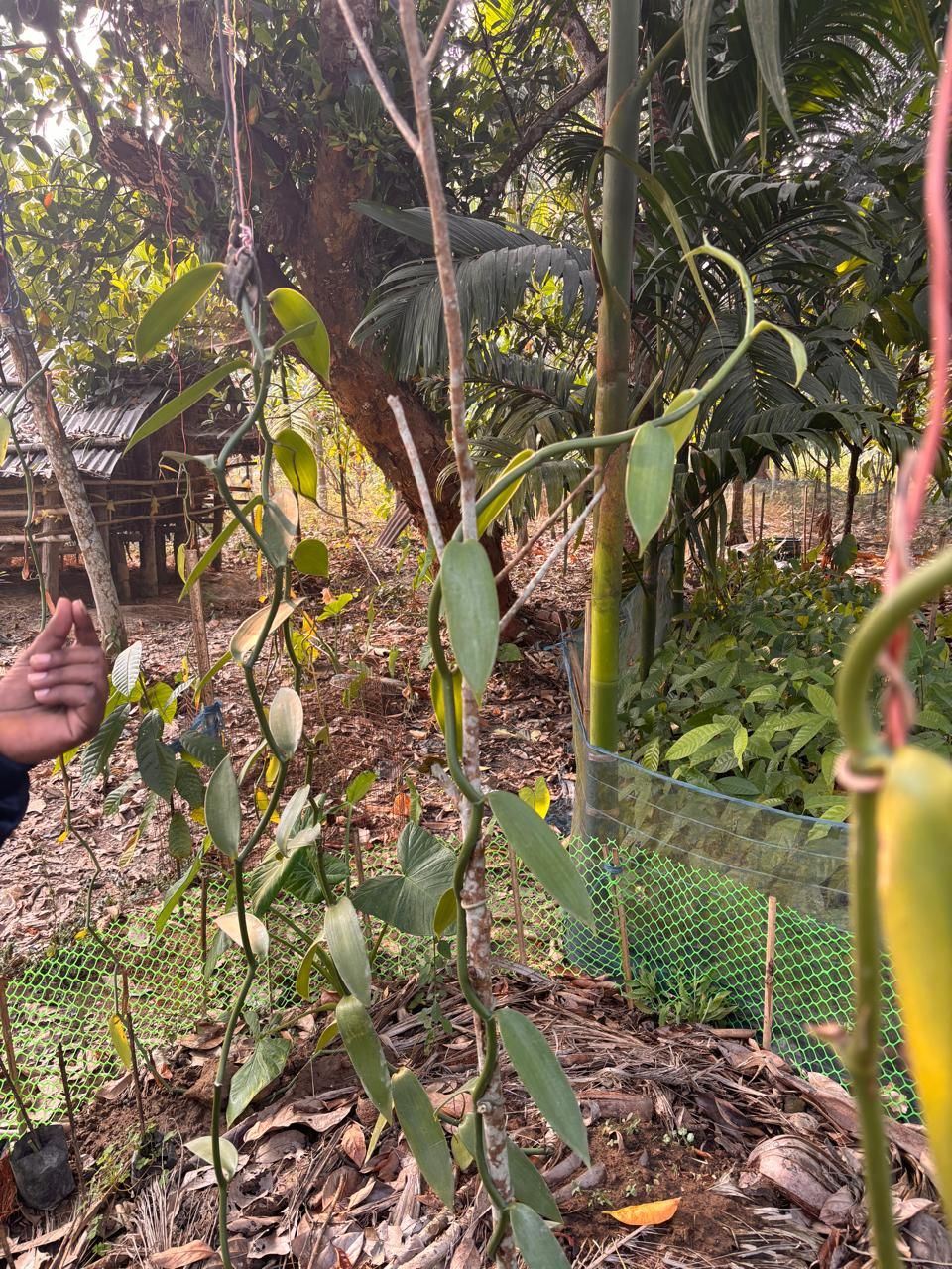 Field Visit