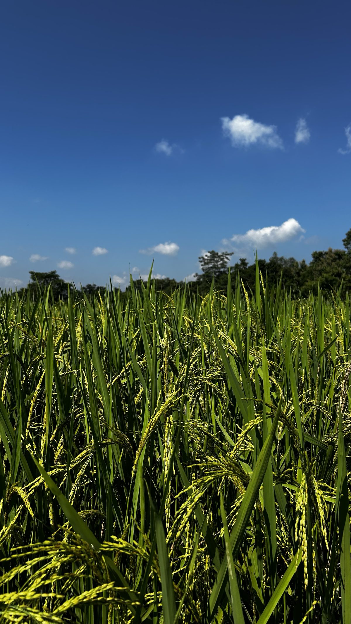 Outreach field photograph