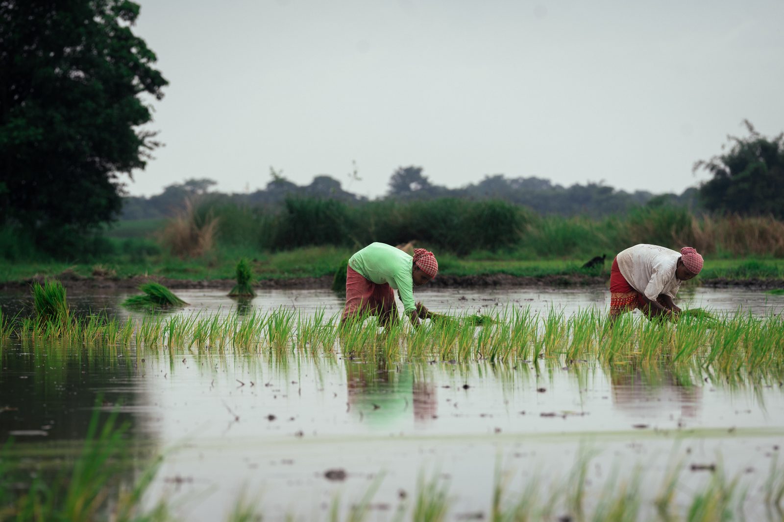 Outreach field photograph